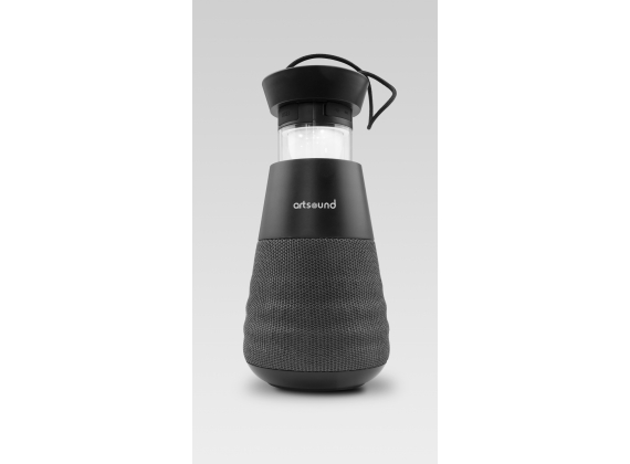 portable BT speaker, light & charge, zwart