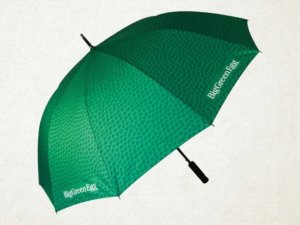 Big Green Egg - Paraplu